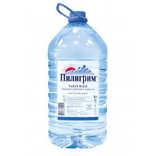 Вода Пилигрим 5 л без газа (упак. 2шт)
